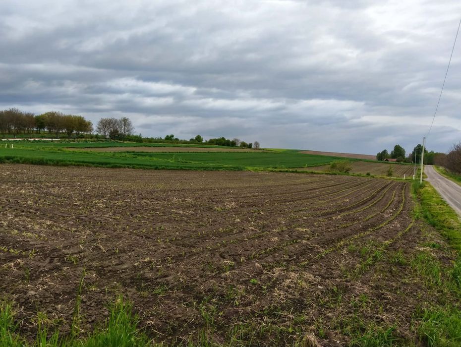 Działka warunki zabudowy zagrodowej 19 ar Siennów - Widok 2