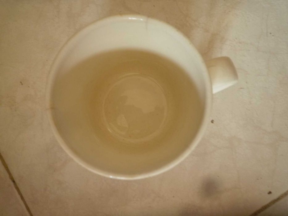 Caneca da antiga Fábrica de Sacavém pintada com motivos floraias