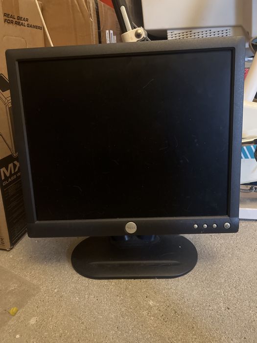 Monitor DELL E173FPs
