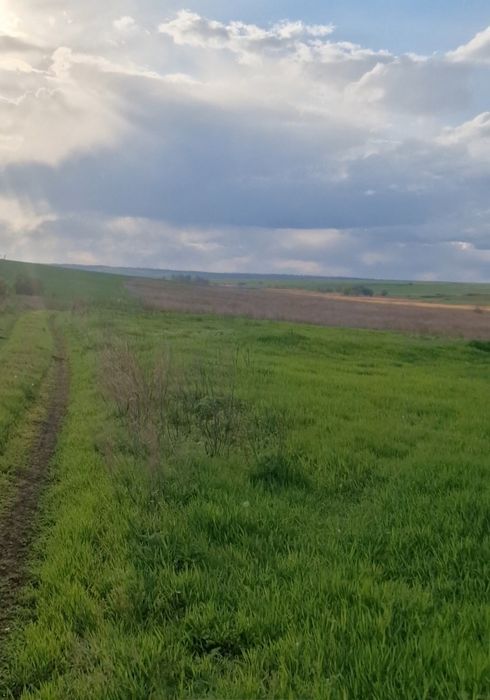 Продам, сдам в аренду 2га земли сельскохозяйственного назначения.