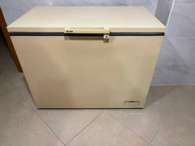 arca cogeladora 320L