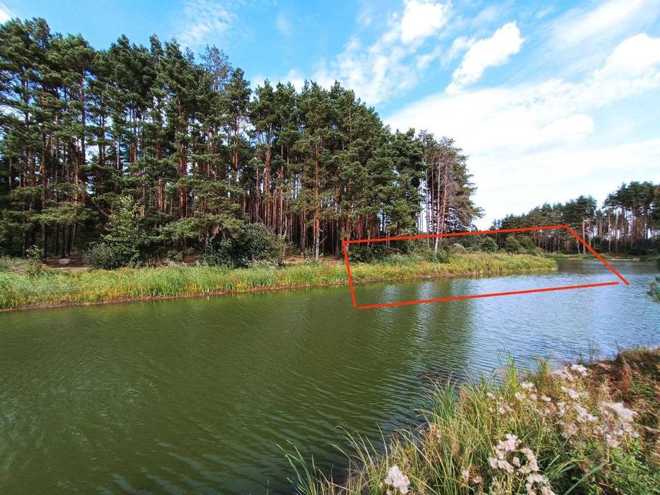 Продам лісову ділянку з виходом до води