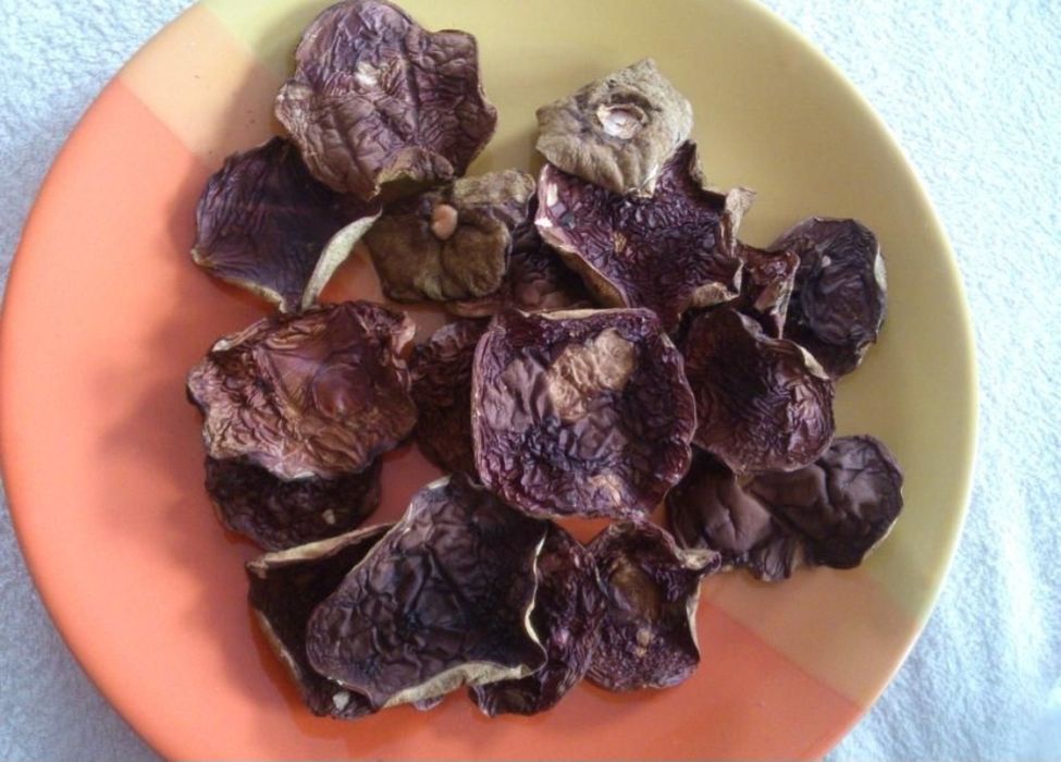 Zestaw suszonych grzybów 100gram kapeluszy 200gram krojonych grzybów