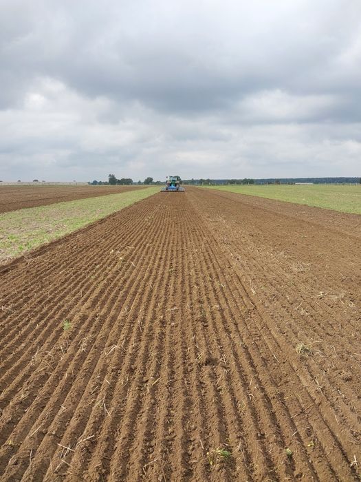 Usługi rolne, talerzówka, gruber