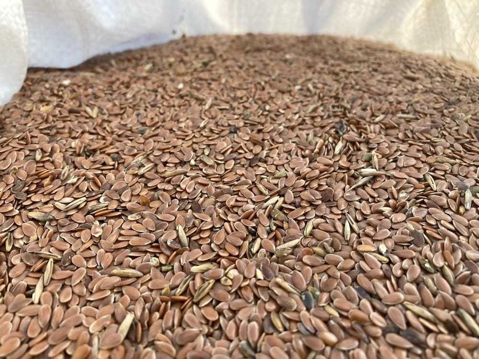 Naturalne Siemię Lniane dla Koni i Cieląt 20 KG bez Glifosatu