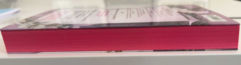 Vendo livro "Se nos voltarmos a encontrar" - Ana Huang