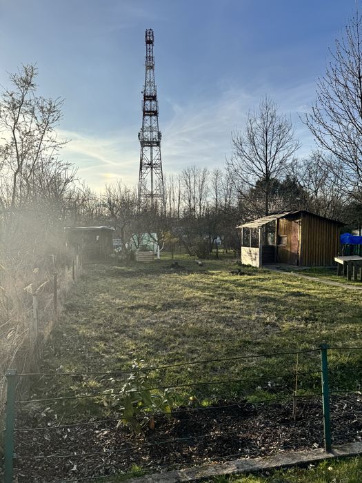 Odstąpię działkę ROD Kalina Wrocław 273 m² – spokojna alejka