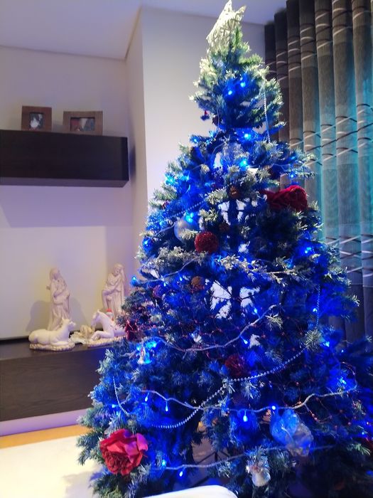 Pinheiro com luzes a funcionar