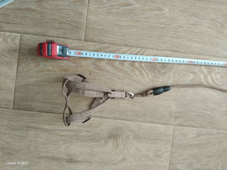 Шлейка, поводок для собак и котов