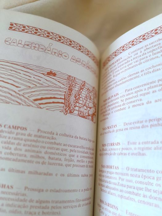 Almanaque Oficial 1985 DGEA Vintage Anos 80 Antiguidade Livro