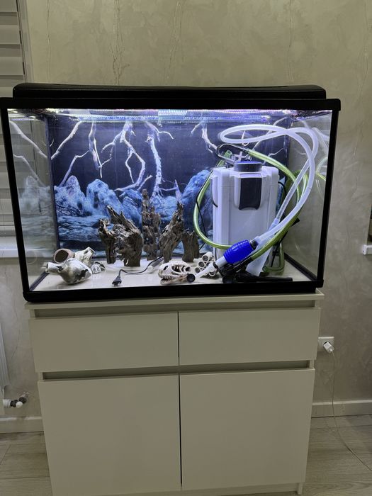 Аквариум 240л ,тумба,фильтр и т.д