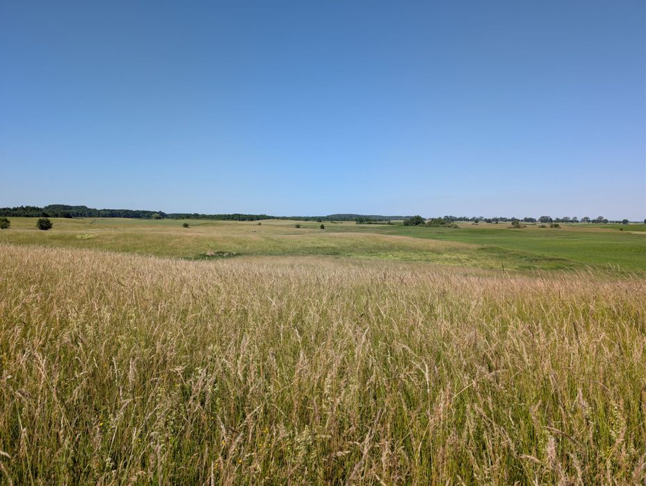 Mikołajki Tałty - Woźnice Działki 3000 - 4500mkw - Widok 5