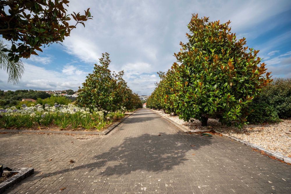 Excelente quinta com 34.876 m2 com moradia de autor