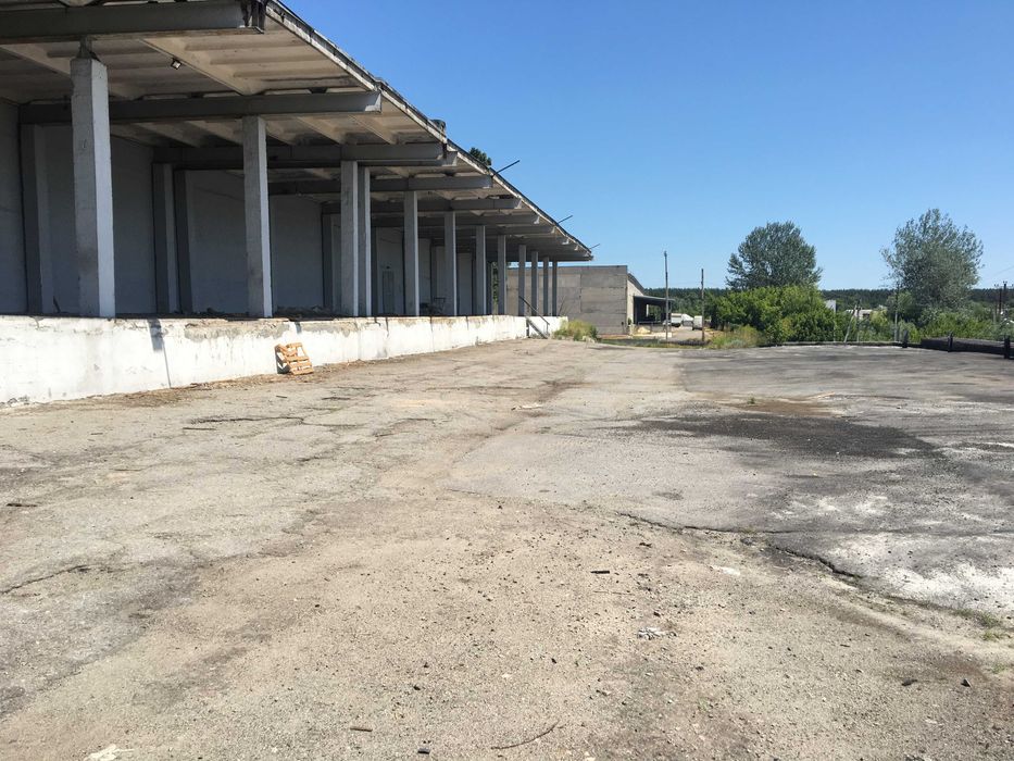 Склад 1000кв.м. Рампа. Васищеве. Без комісії.