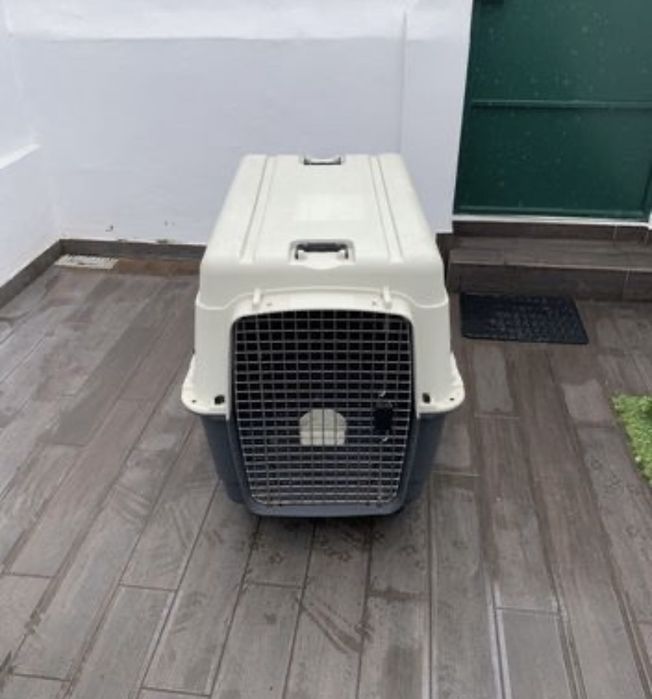 Caixa de transporte para Cão