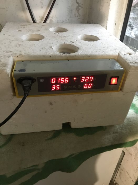 Інкубатор 36 яєць