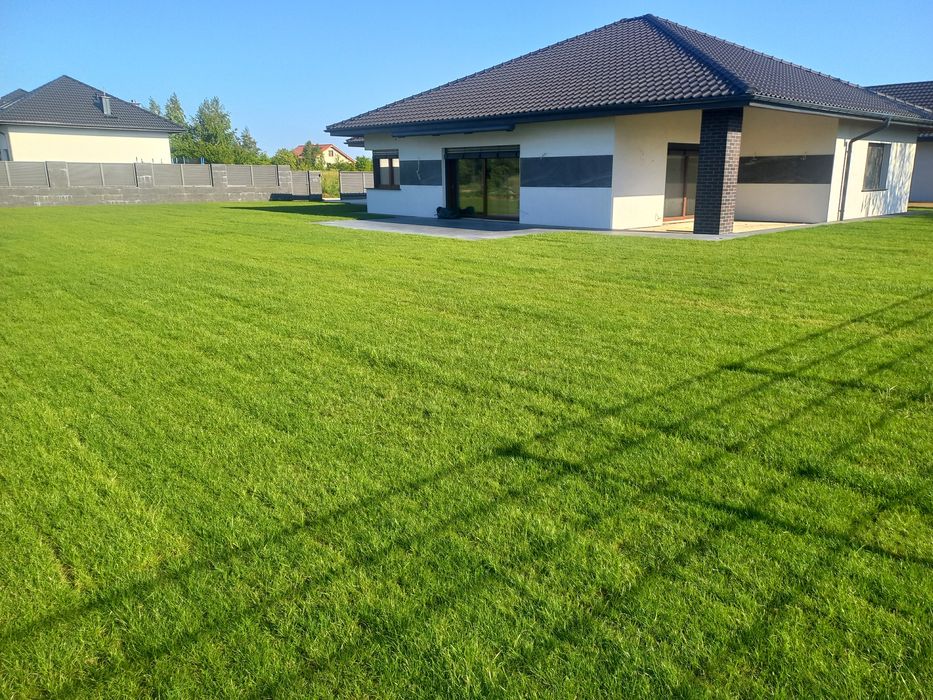 Trawa trawnik trawniki z rolki sprzedaż transport montaż wysyłki