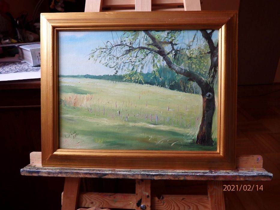 Obraz olejny 40 x 30 "Stara jabłoń na Roztoczu" ręcznie malowany