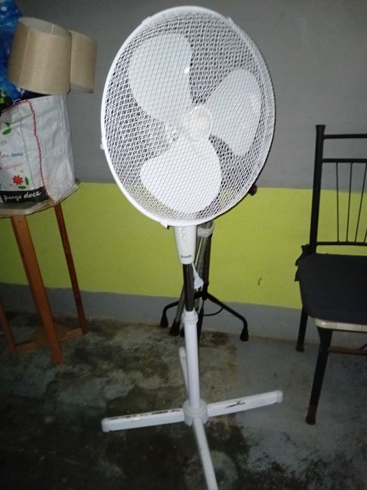 Disp. Ventoinha, bengalas, muletas, e restante