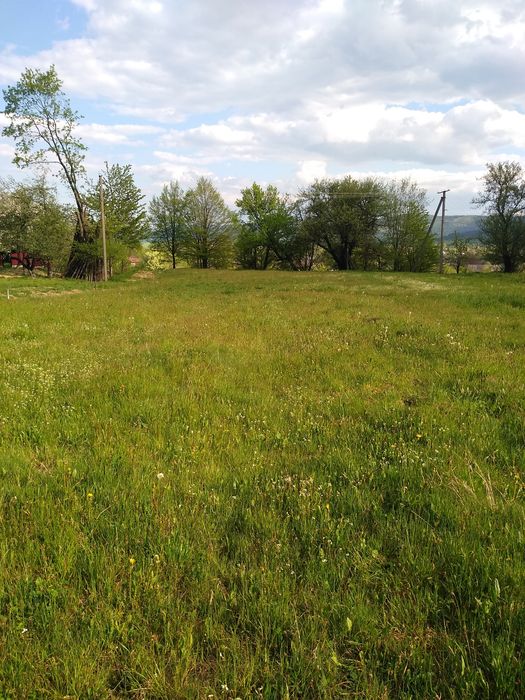 ДУЖЕ ДЕШЕВА ЗЕМЛЯ в найчистішій екологічній місцевості Прикарпаття !