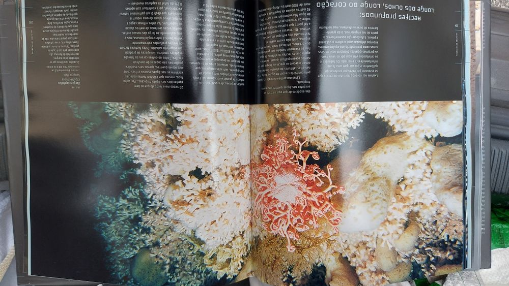 Criaturas do Abismo de Claire Nouvian