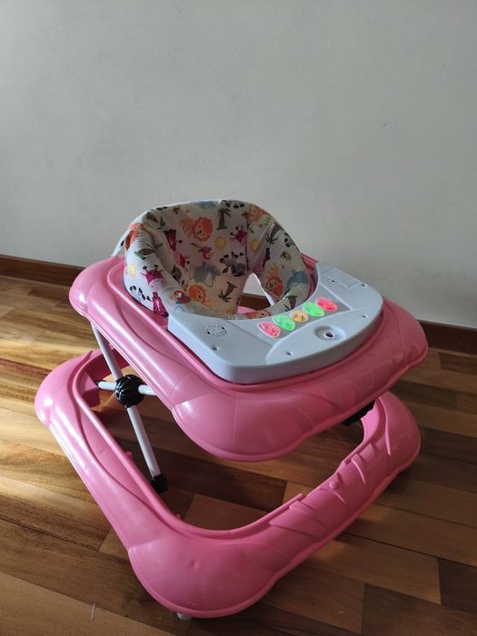 Aranha andarilho primeiros passos