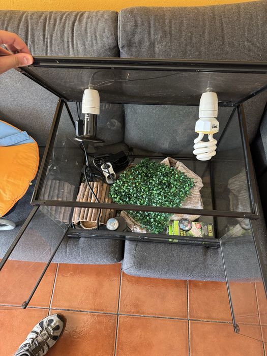 Terrario para Repteis