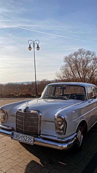 Samochód  do ślubu Mercedes w111