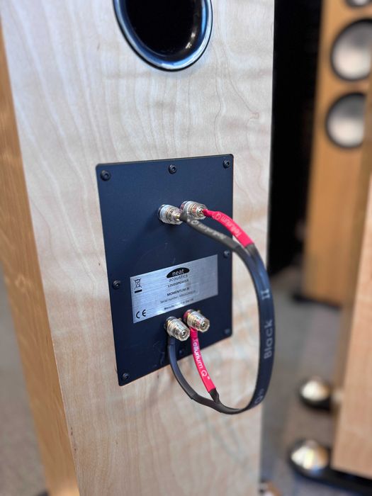 Neat Acoustics MOMENTUM J6 Kolumny podłogowe OUTLET SKLEP FV