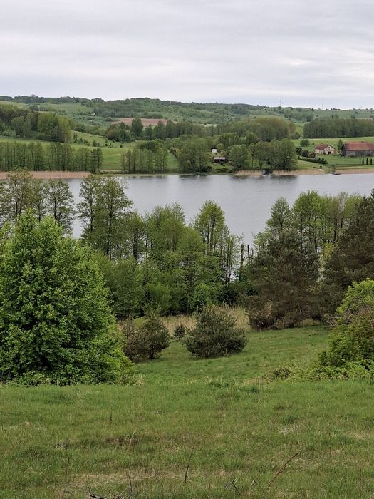 Domek pod szyszką