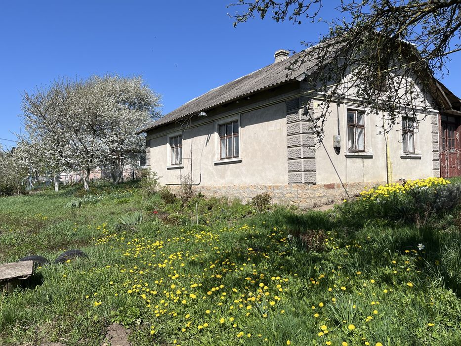 Будинок з земельною ділянкою 12.3 сотих с.Петриків