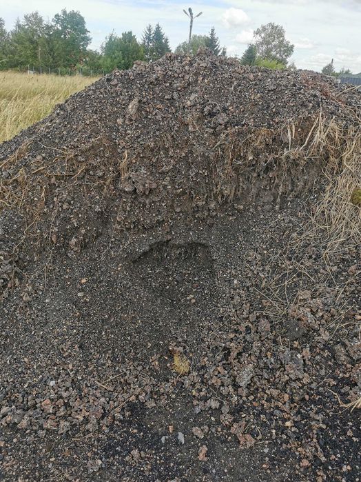 Oddam szlaki do utwardzenia