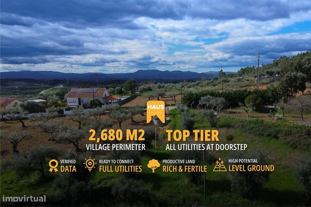 Terreno 2.680m² | Poço e Olival | Palvarinho, Castelo Branco