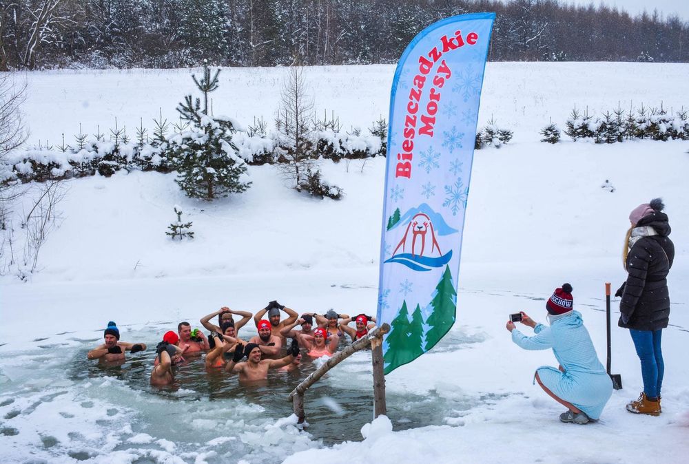 domki w Bieszczadach + SPA, alpaki i inne zwierzaki