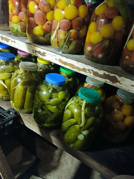 Квашені огірки та помідори.