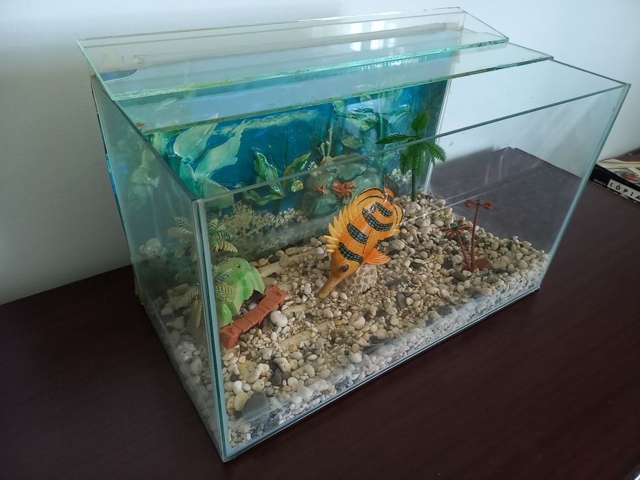 Aquário de peixes