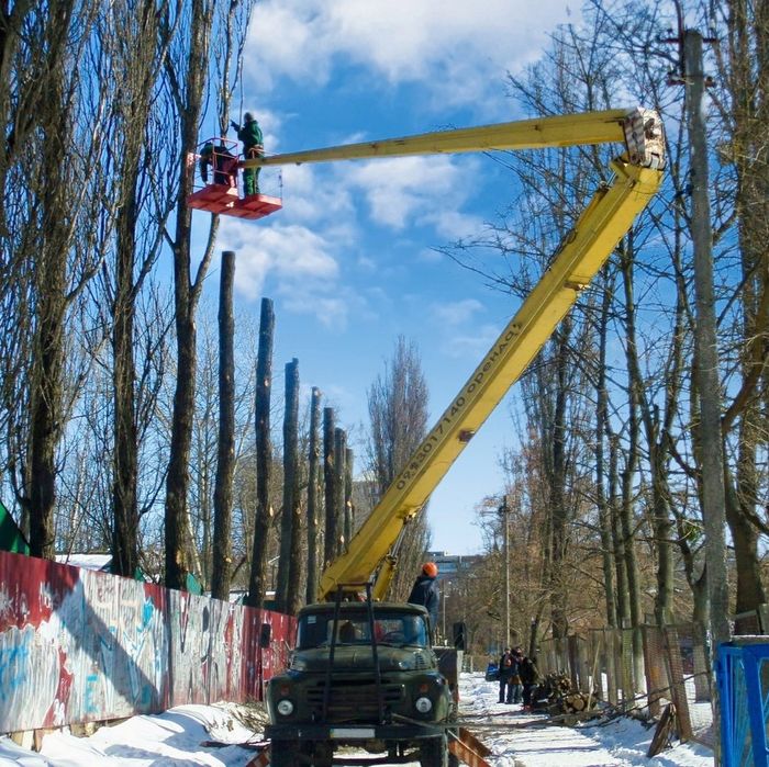Послуги автовишки АГП-22. Вишка вышка