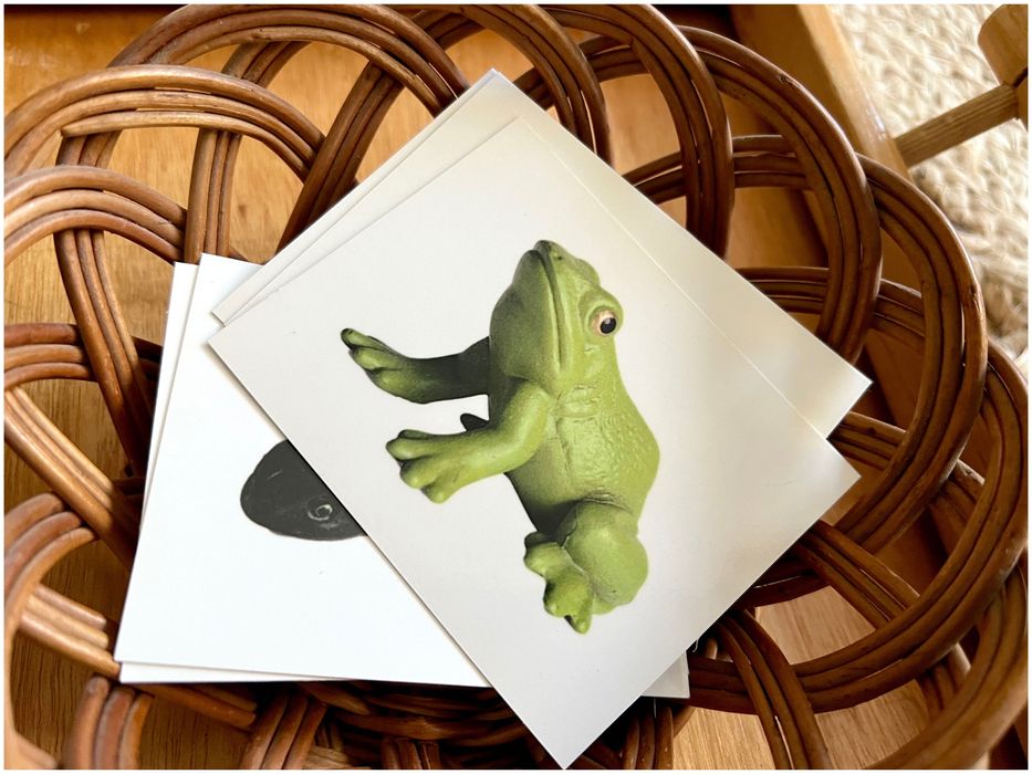 Ciclo de Vida - Sapo - Montessori