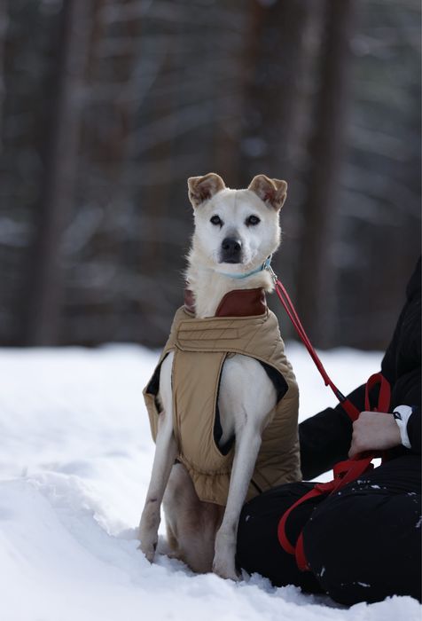 Seniorka Selena do adopcji szuka tego prawdziwego domu juz na zawsze