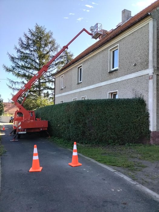 Podnośnik koszowy zwyżka wycinka 100 zł