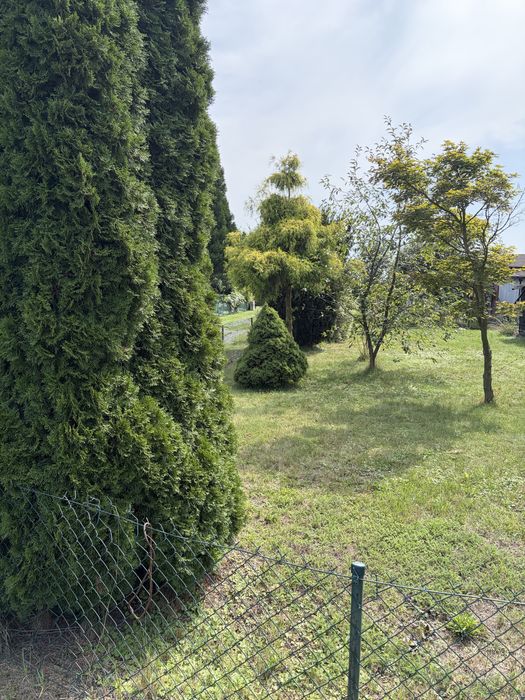 Duża dzialka rekreacyjna - ROD Powstancow Śląskich - Widok 5