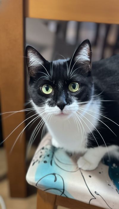 Lila szuka swojego człowieka na zawsze