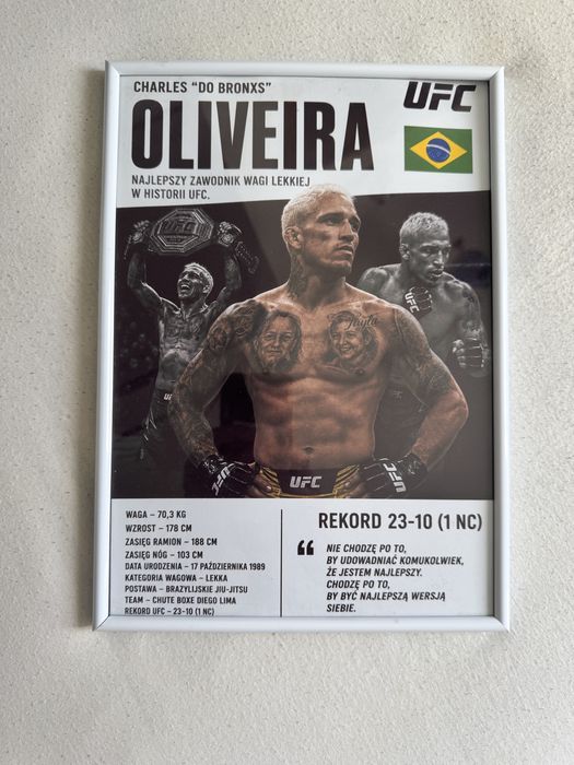 Spersonalizowany Obraz UFC