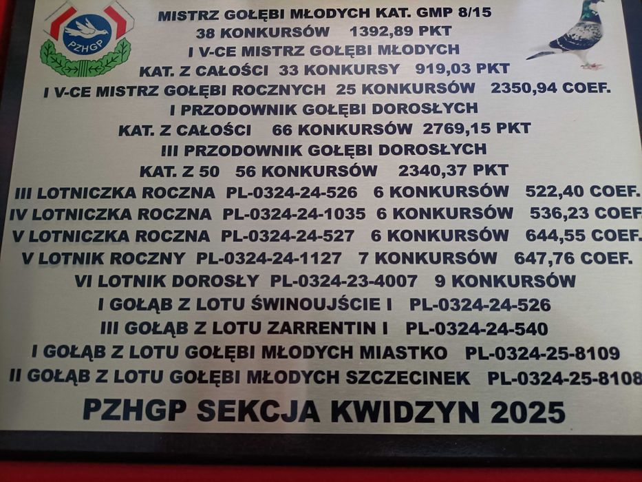 Gołębie pocztowe rozpłodowo - lotowe w każdym wieku