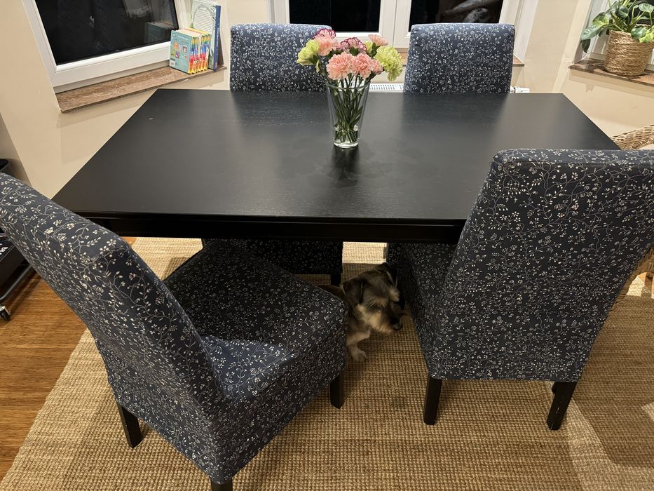 Stół Ikea Ingatorp