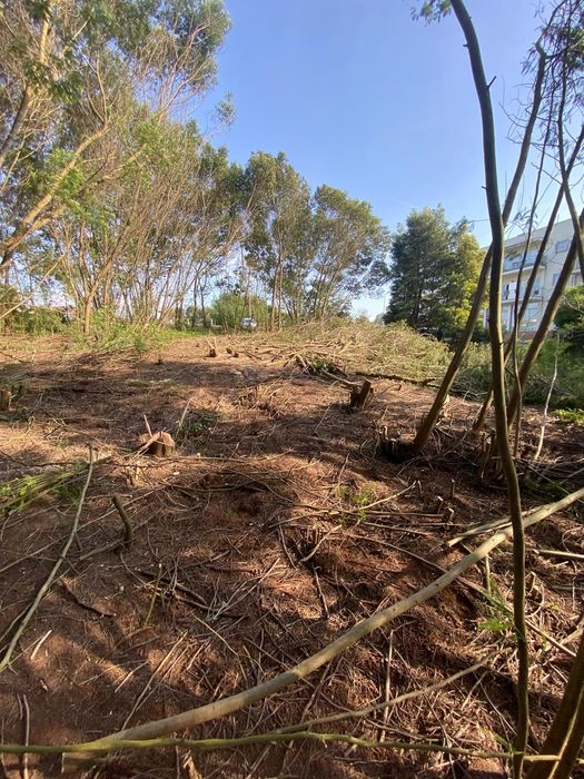 Limpeza de terrenos