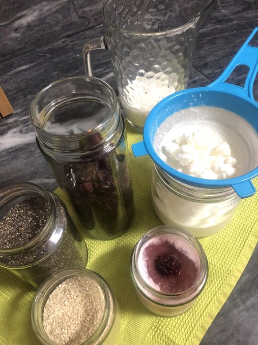 Flor de kefir - iogurte natural