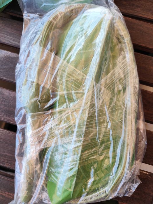 2 Plantas artificiais