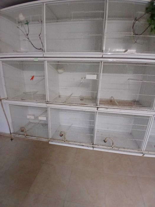 Gaiolas de criação