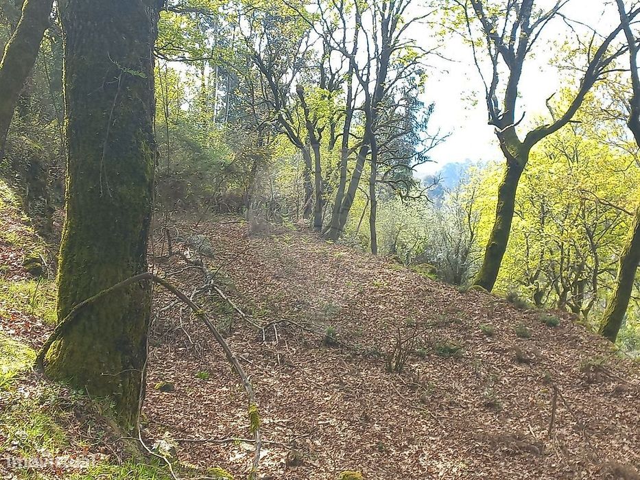 Terreno  para venda